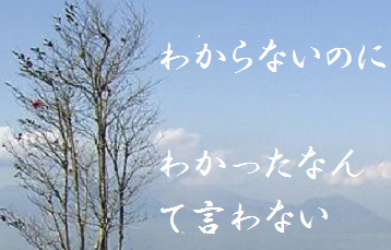 わからないのにわかったなんて言わない