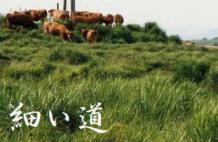 細い道