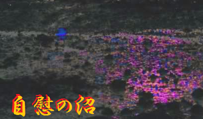 自慰の沼