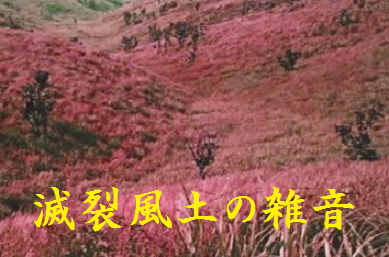 滅裂風土の雑音