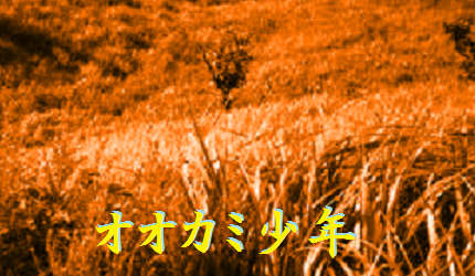オオカミ少年