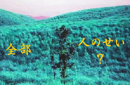 全部人のせい?