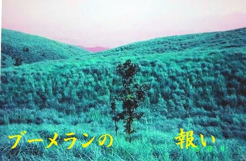 ブーメランの報い