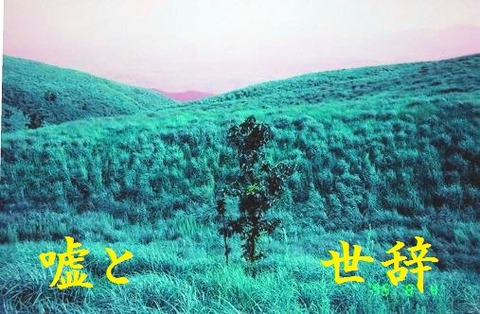 嘘と世辞