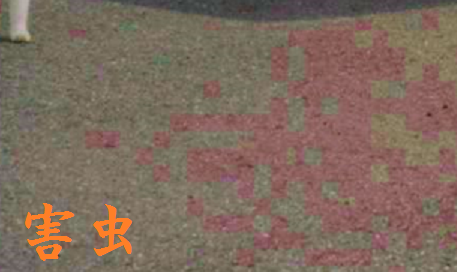 害虫
