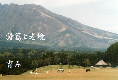 詩篇と老境　育み