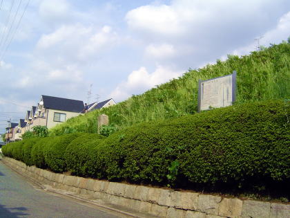 御土居