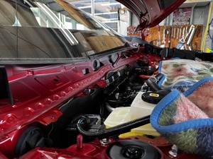 IMG_2266