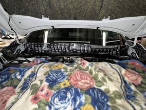 8DA75B96-7C9B-4FD6-8CCA-0ED9F8680A14