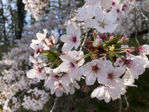 EC7A9190-AC0B-408C-94BD-1DA24DACC3BD