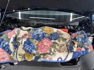 A9C0BD74-4787-44A2-85D9-97C100CDAA68