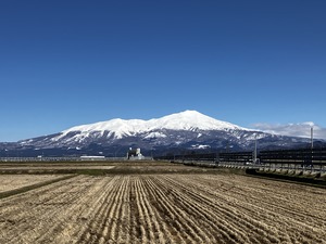 IMG_3963
