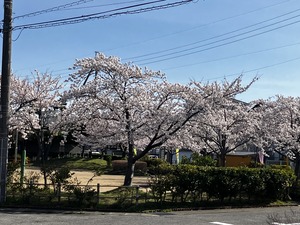 IMG_4312