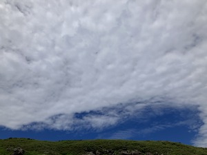 IMG_2214
