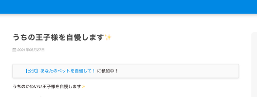 スクリーンショット 2021-05-27 19.32.13