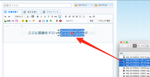 画像1