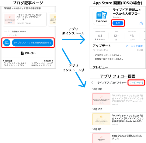 Group 29
