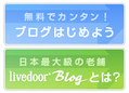 画像サンプル