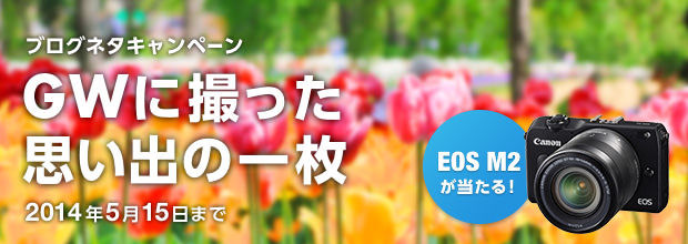 ブログネタキャンペーン「GWに撮った思い出の一枚」5/15日まで
