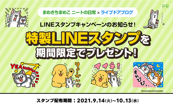 mameko_campaign_bn
