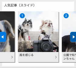 slide_s
