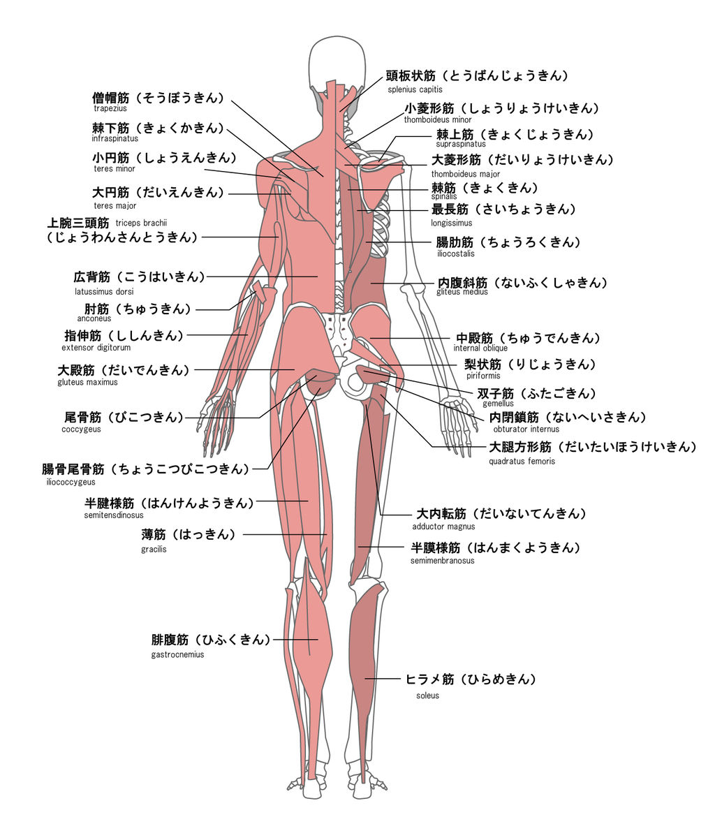 けん とうき だいたい し ん