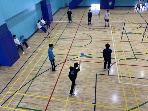 image_50444545