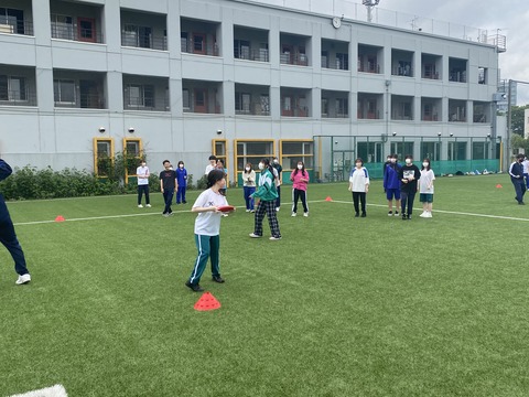image_50408449