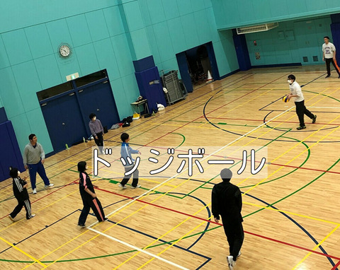 交流ドッジ