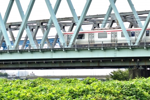 ed34122e9da736dc65b071558eedb10f_s