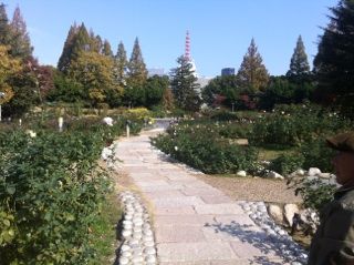 うつぼ公園