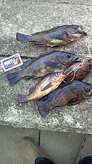 200905110603000