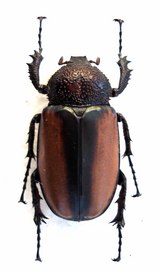 35036cc5.jpg