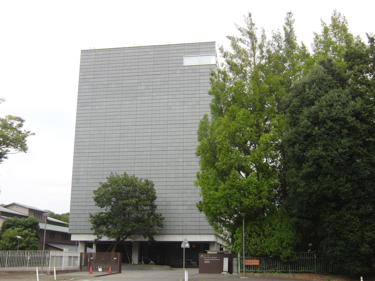 CIMG0505