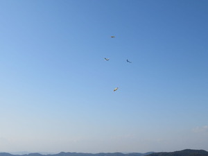 IMG_4455
