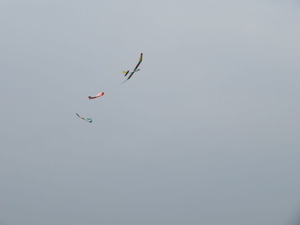 IMG_4261