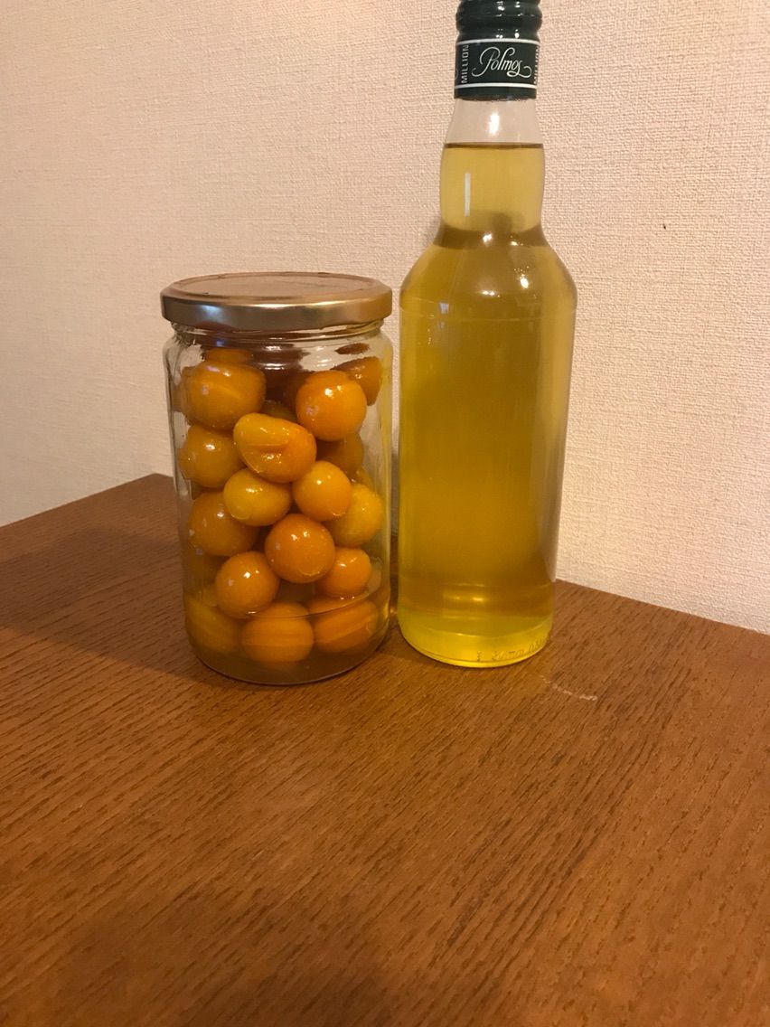 金柑酒の作り方 メモ C2h6oがあれば 金柑酒の作り方 メモ C2h6oがあれば