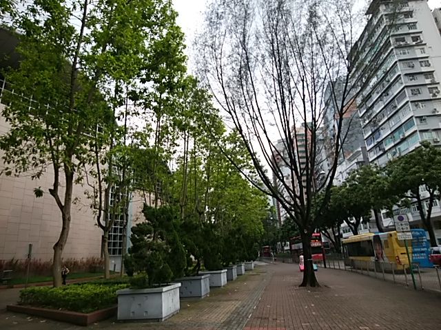 IMG_20190619_162658