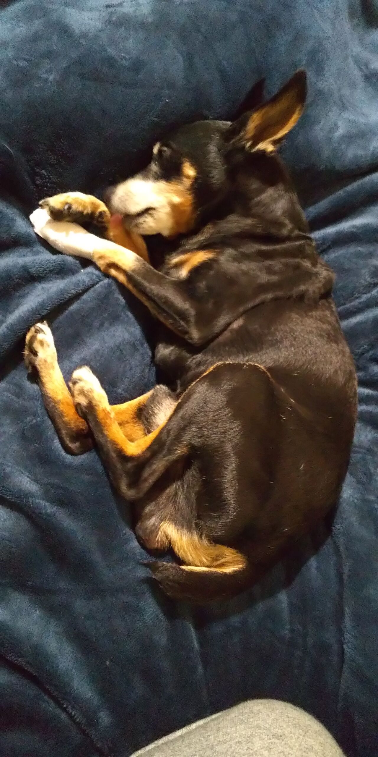 19年11月 Stanのblog