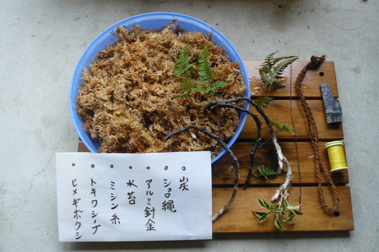 Event 7 21 木 14 00 大阪にもこんな町があったんや 寺内町の植木屋 スタンダードブックストアあべの