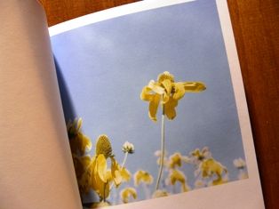 P1340364