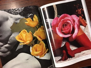 F2267189-2B31-4D0C-8D35-C786AFFD852B