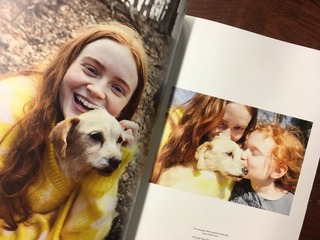 057C232B-C330-438B-B3D0-9EE089A6F4A5