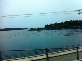 写真 2013-06-06 12 19 27