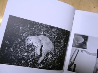 P1480518
