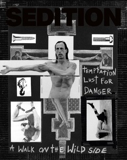 sedition-3