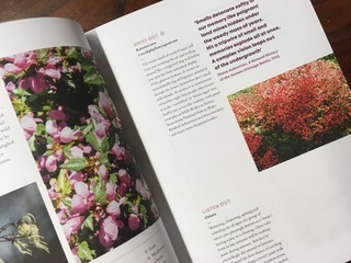 7844F372-DE3F-41F1-BFAA-A0632A2AA17B