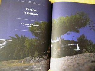 P1260982