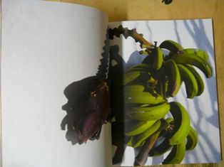 P1410649