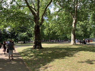 写真小 2019-07-12 16 26 37